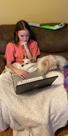 Junior Kailee Neil works at home on her courses that have been assigned as part of AMI.