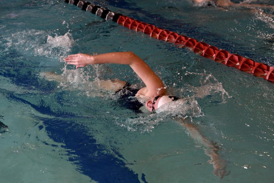 Swim, dive team prepares for state competition