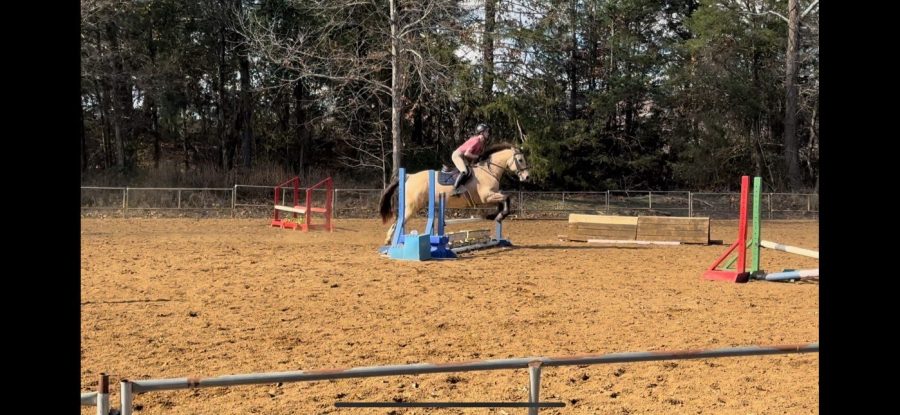 Senior forges bond with horses at an early age