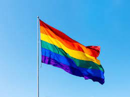Proposed pride flag ban in Florida public schools sparks concern