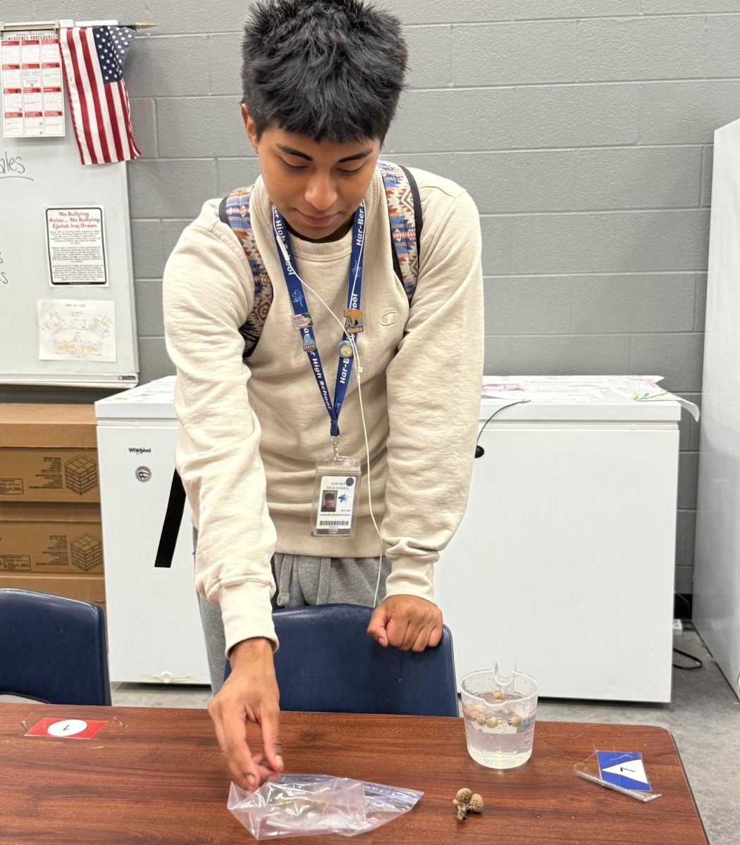 Senior Leo Jimenez tests the viability of acorns by placing them in water. If they sink, Jimenez will plant them to grow new trees. 
